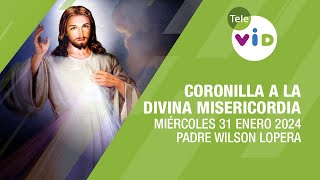 Coronilla a la Divina Misericordia 🌟 Miércoles 31 Enero 2024 TeleVID Coronilla DivinaMisericordia [upl. by Emogene]