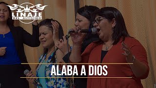 Alaba a Dios  Linaje del Altísimo  Menap HD [upl. by Neehsuan23]