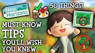 40 SECRETS Youll WISH You Knew Sooner  Animal Crossing New Horizons [upl. by Constantine]