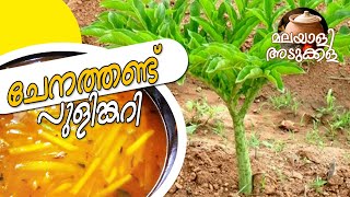 ഇനി ചേനത്തണ്ട് കളയരുതേ  Chenathandu Pulinkari [upl. by Fife]