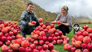 Pomegranate Jam and Fried Fish in the Mountains The Variety Of Tastes Of Nature [upl. by Nnhoj]