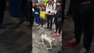 Meet the Unitree Go1 robotic pet dog as seen at CES 2023 [upl. by Ednutabab]