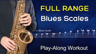 The Full Range Blues Scale Workout  Learn All 12 [upl. by Aynot]