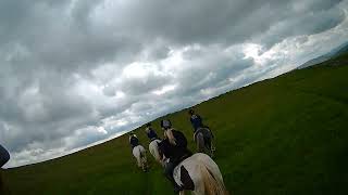 Kilnsey canter 000 13 June 24 [upl. by Chery]