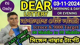 03112024 morning 6pm 8pm Target Number NagalandLottery Sambad LiveLottery Target Number [upl. by Adianez]