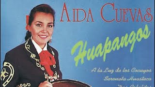 La Malagueña Aida Cuevas  Karaoke [upl. by Dolhenty]