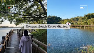 Nonsan Korea diaries cooking tapjeong lake and Sports day for International students 🏅 [upl. by Egdamlat]