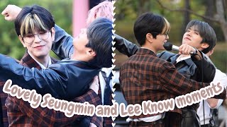 Stray Kids Seungmin and Lee Know lovely moments pt 3 [upl. by Ative]