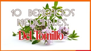 10 Beneficios Medicinales Del Tomillo [upl. by Maleen328]