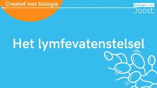 Het lymfevatenstelsel  Creatief met Biologie [upl. by Adnuhser575]