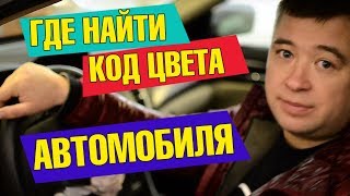 ❓☝️ Как узнать код краски автомобиля 🚗 [upl. by Tallbott]