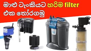 How to Choose a CORRECT FILTER for your Aquarium in Sinhala [upl. by Adahsar]