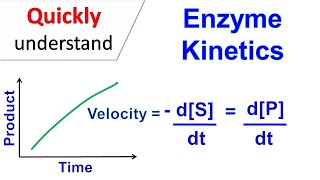 Enzyme kinetics [upl. by Ibib]