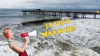 JA VIU O MAR HOJE  BOM DOMINGO 28 JAN 2024 [upl. by Acinnej]