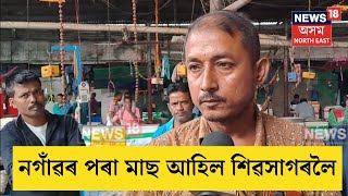 Sivasagar Fish Market  চতুৰ্থ দিনত নগাঁৱৰ পৰা শিৱসাগৰ কেন্দ্ৰীয় বজাৰলৈ আহিল ৫ কুইন্টল মাছ  N18V [upl. by Occer]