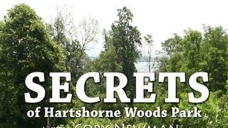 Secrets of Hartshorne Woods Park [upl. by Sholom]