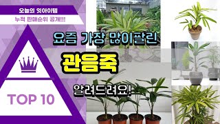 관음죽 추천 판매순위 Top10  가격 평점 후기 비교 [upl. by Gerek]