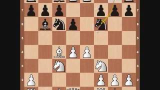 Chess Openings Evans Gambit Part 2 [upl. by Leaffar174]