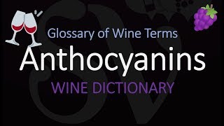 Wine Term Definition  Anthocyanins [upl. by Jezabel]