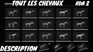 Tout Les Chevaux Red Dead Redemption 2 [upl. by Tamera]