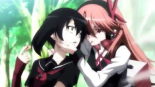 Akame ga Kill  Sippy Cup AMV [upl. by Willin]