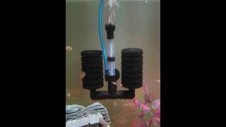 Aquarium sponge bio filter [upl. by Nagel]