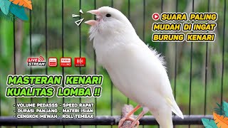 Kenari GACOR‼️ Masteran Burung Kenari PAUD dan Pancingan Kenari MACET BUNYI  EPISODE 1465 [upl. by Ykcim]