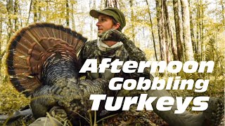 AFTERNOON GOBBLING TURKEYS AWESOME ending message [upl. by Ongineb]