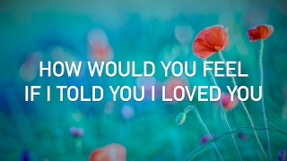 Ed Sheeran  How Would You Feel Paean live acoustic with lyrics [upl. by Mohr373]