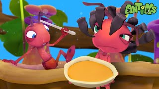 Ant Soup 🍲  ANTIKS  Funny Cartoons For All The Family [upl. by Tamarah]