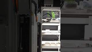 Advanced Imaging Technology to Detect Plant Changes  Digital Phenotyping Lab [upl. by Anelys]