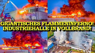 GIGANTISCHES FLAMMENINFERNO  INDUSTRIEHALLE IN VOLLBRAND  METERHOHE FLAMMEN  FEUERWEHR [upl. by Nnahgiel]