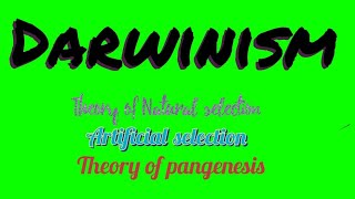 Darwinism  Theories of evolution Theory of pangenesis Artificial selection Natural selection [upl. by Zohar867]