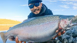 HUGE RAINBOW TROUT in New Zealand [upl. by Enelhtac]