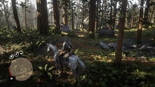 Red Dead Redemption 2  All 2 Gang Camps of The Skinner Brothers [upl. by Socem442]