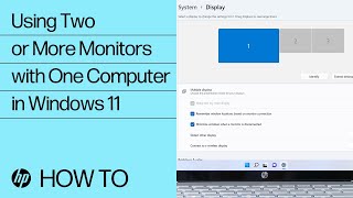 Using Two or More Monitors with One Computer in Windows 11  HP Computers  HP Support [upl. by Monney]