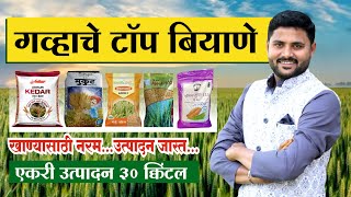 गव्हाचे टॉप बियाणे  एकरी 30 क्विंटल उत्पादन देणारे  खाण्यासाठी नरम ।  Top wheat seeds  गहू वाण [upl. by Aikat]