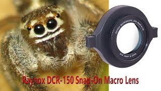 Amazing Macro With Raynox DCR 150 [upl. by Darnok604]