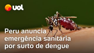 Surto de Dengue Peru anuncia emergência sanitária por surto da doença país teve 32 mortes este ano [upl. by Dionysus]