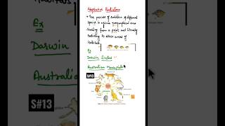 Adaptive Radiation Adaptive Radiation class 12 hindi shorts adaptiveradiation [upl. by Luwana]