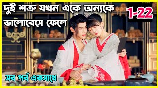 Different princess Movie explain in Bangla।। all episode।।Ep1 to 22।।chinese movie bangla dubbed [upl. by Aicital102]