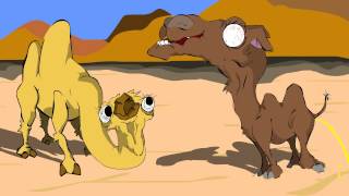 A Camel Cartoon Camels included [upl. by Repotsirhc]