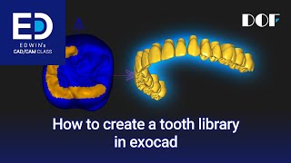 How to Create a Tooth Library in exocad [upl. by Pallaten738]