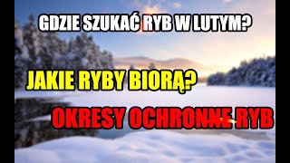 Gdzie Szukać Ryb w Lutym [upl. by Draneb]