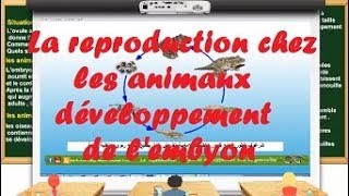 la reproduction chez les animaux  développement de lembryon [upl. by Yacano919]