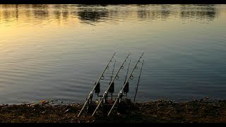 Linear Fisheries  The Number One Day Ticket Carp Water [upl. by Beberg]