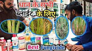 धान मे Best fungicide  धान के सभी blight seat blight blast ke liye fungicide  cg video [upl. by Kwang]