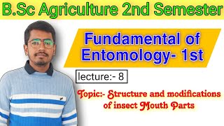 Part 2  Mouthparts modifications  Insect mouth  BSC Agriculture 2nd semester Fundamental of Ento [upl. by Quin185]