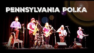 Pennsylvania Polka Live at First Night Akron 2017 [upl. by Anauqahc]