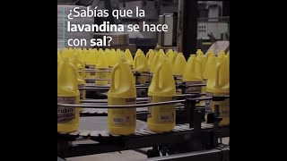 ¿SABÍAS QUE LA LAVANDINA SE HACE CON SAL [upl. by Enajharas]